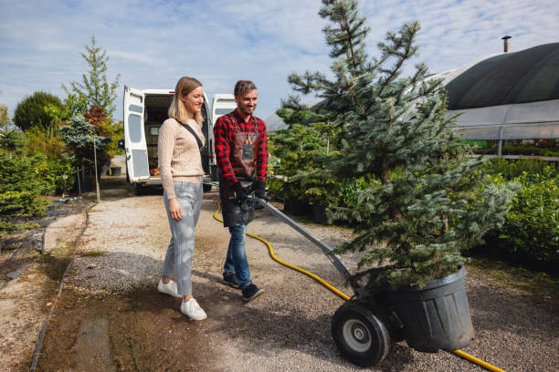 Best Sod Installation  in Rm Beach, WA